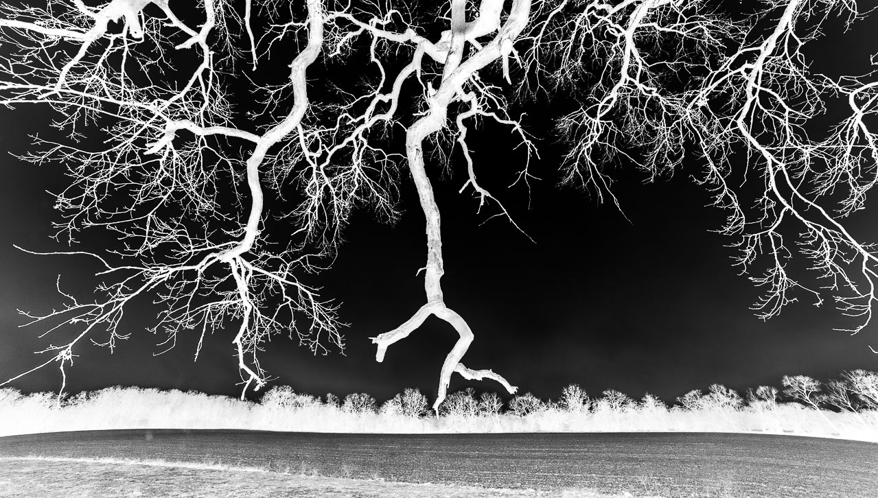 Fotoclub: Bild des Monats 7.2019