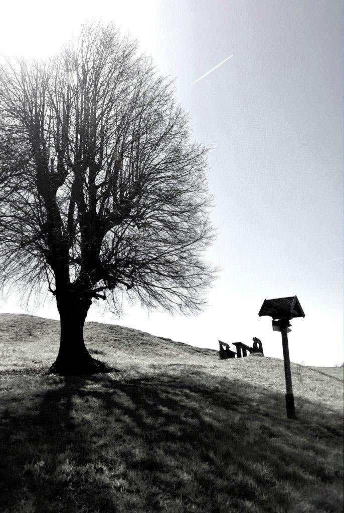 Garten-Fotoclub bei Uli