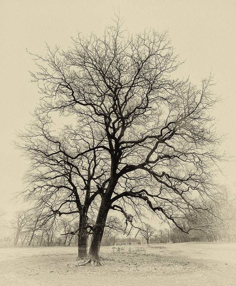 Zweisam (Foto: Uli Pfeufer)