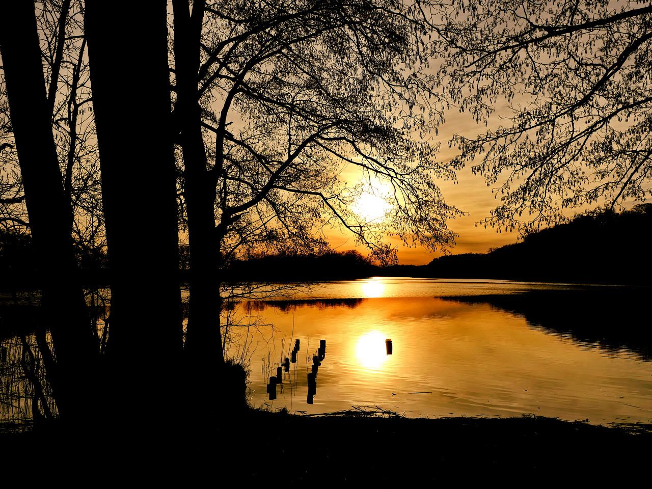 2019-03-02-am-See-rok-6.33 Am See (Foto: Roland Kastner)