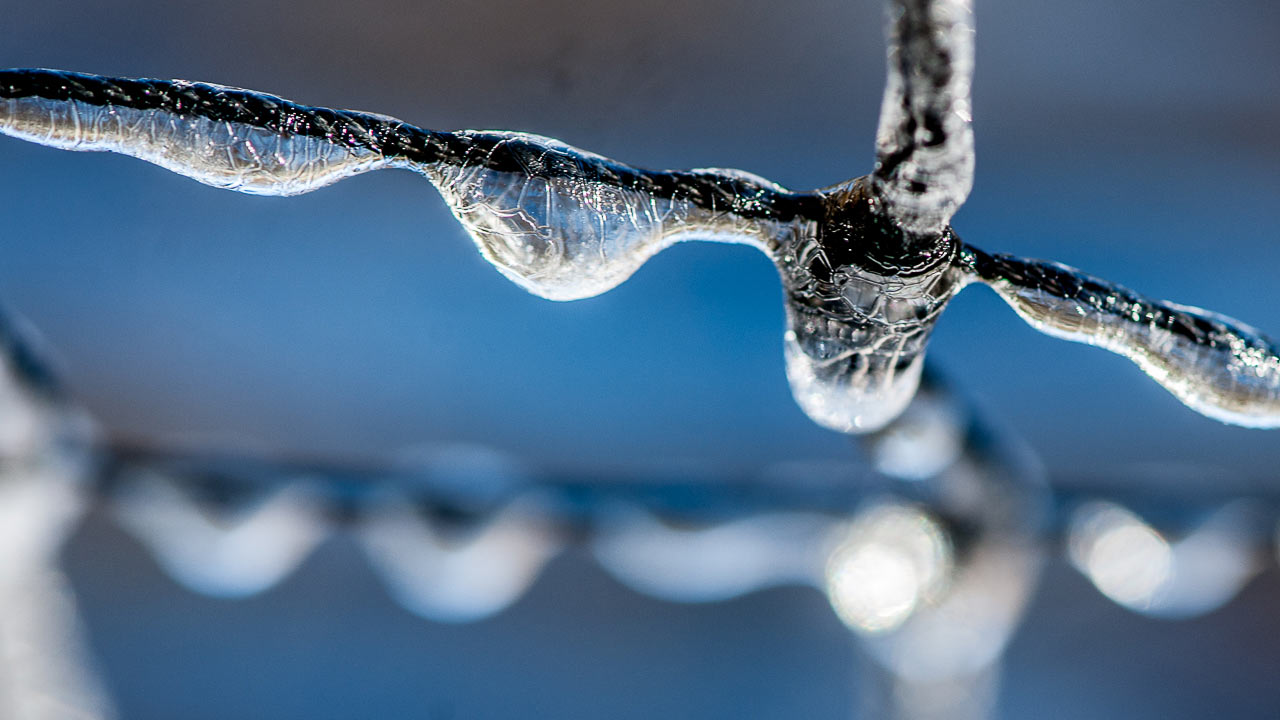 Fotoclub online: Weihnachts-Neujahrskarte