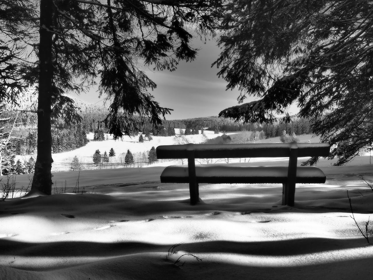 Fotoclub: Bild des Monats 06.2022