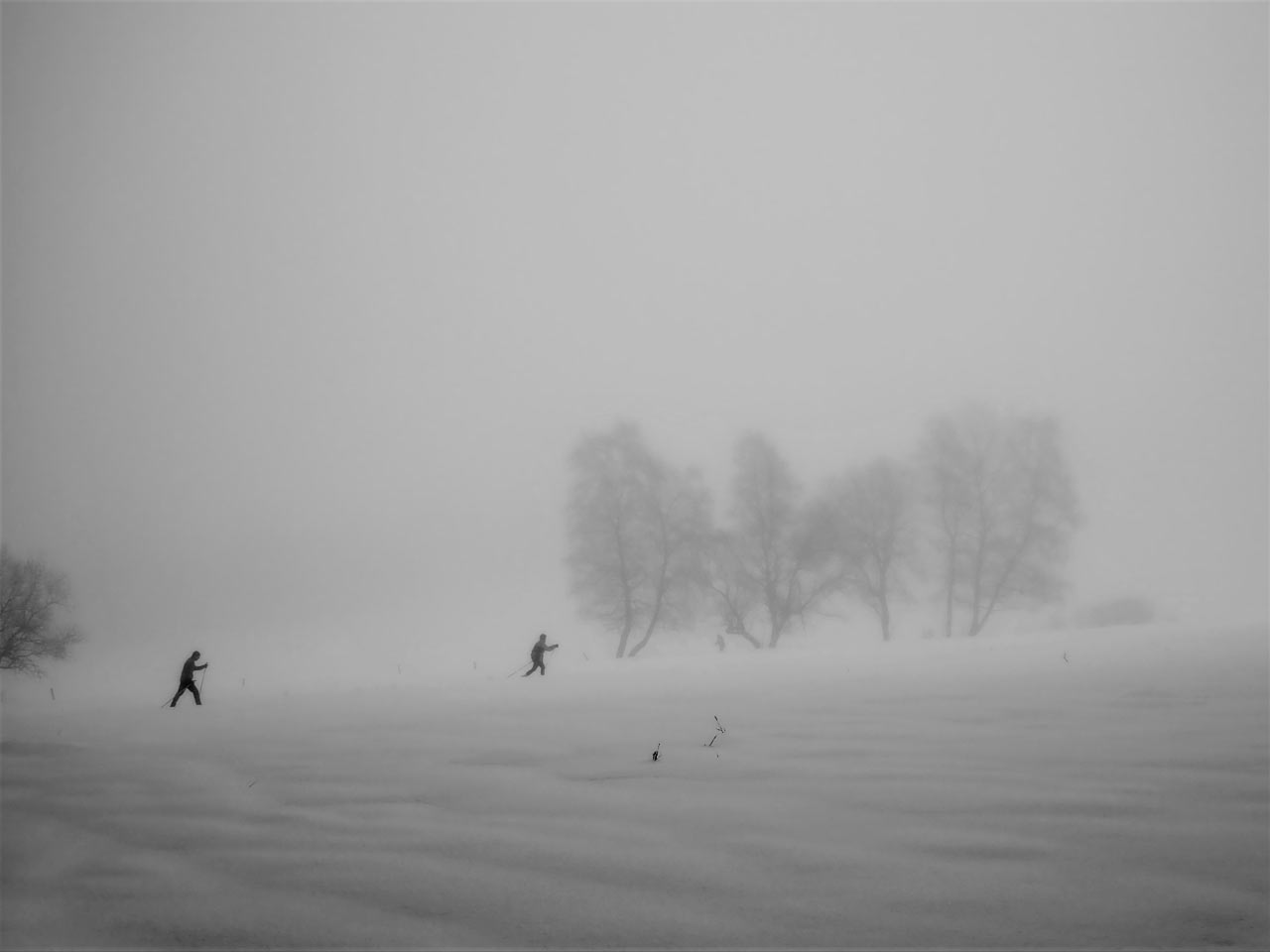 Kein Fotoclub