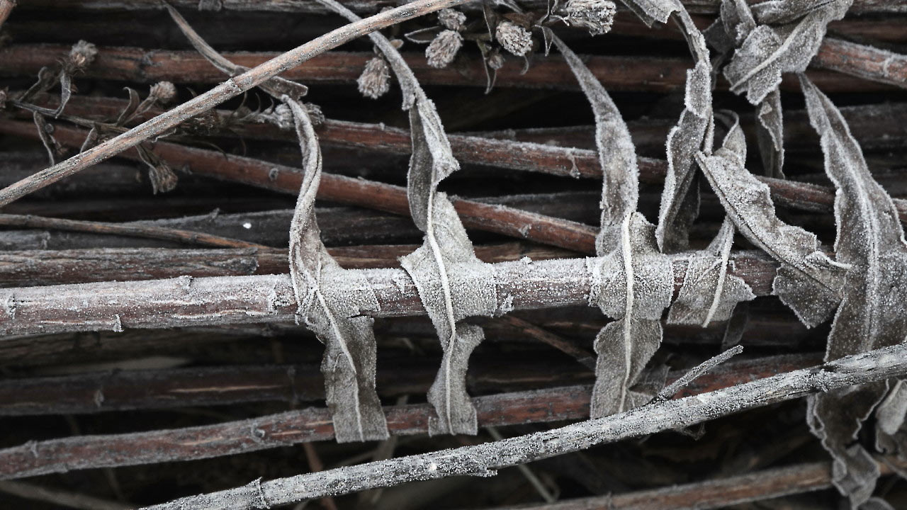 2019-03-zz03-Kompost-1-pms-6.5 Serie: Kompost 1 (Foto: Peter Maximilian Schmidt)
