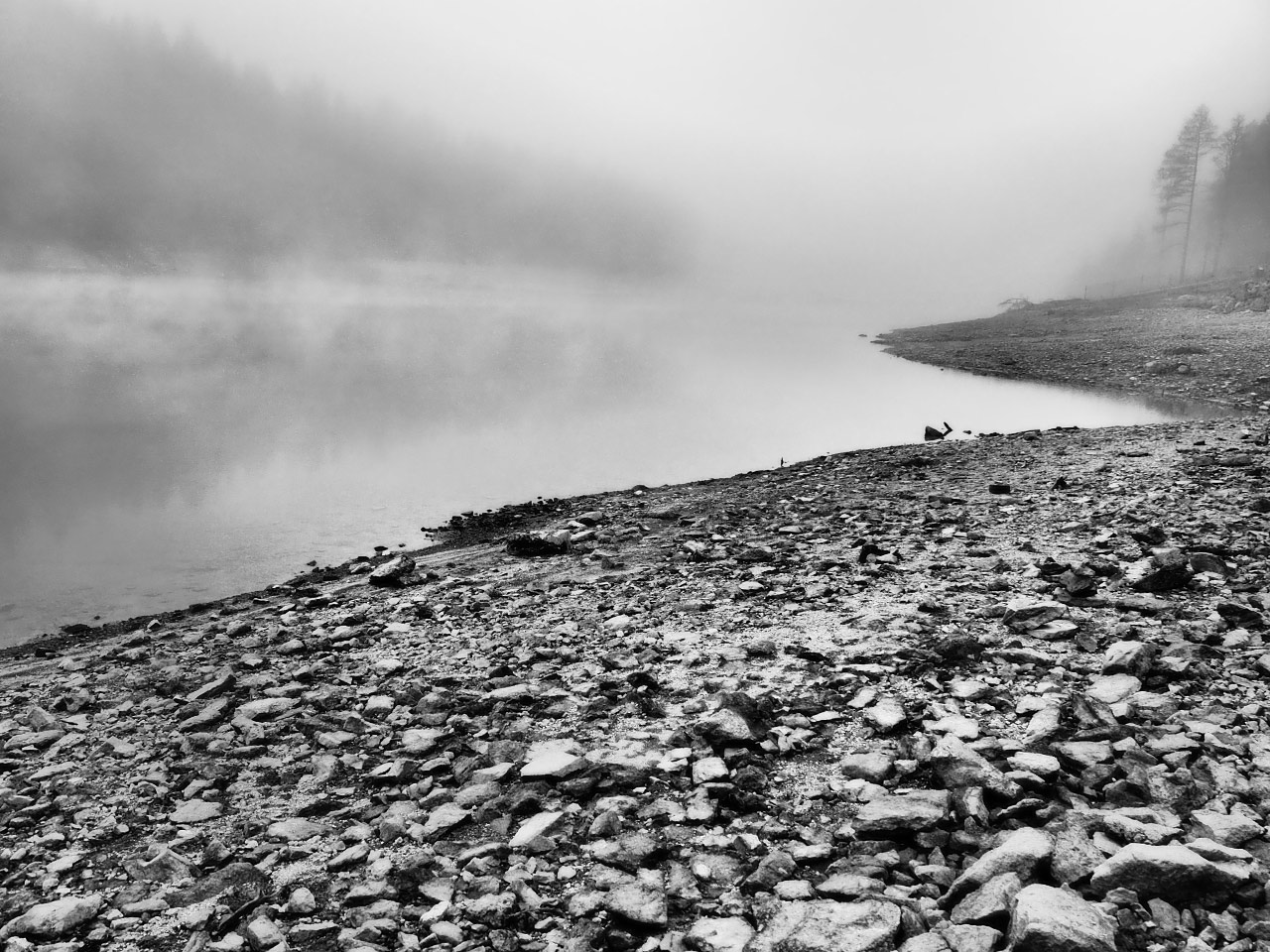 2019-04-27-Pegel-fallend-PB170526-ds-6.5-3 Pegel fallend (Foto: Dietmar Schmidt)