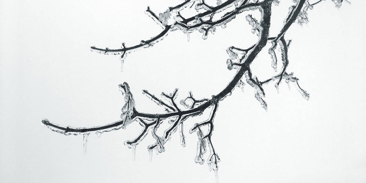 Fotoclub: Fotobearbeitung mit KI