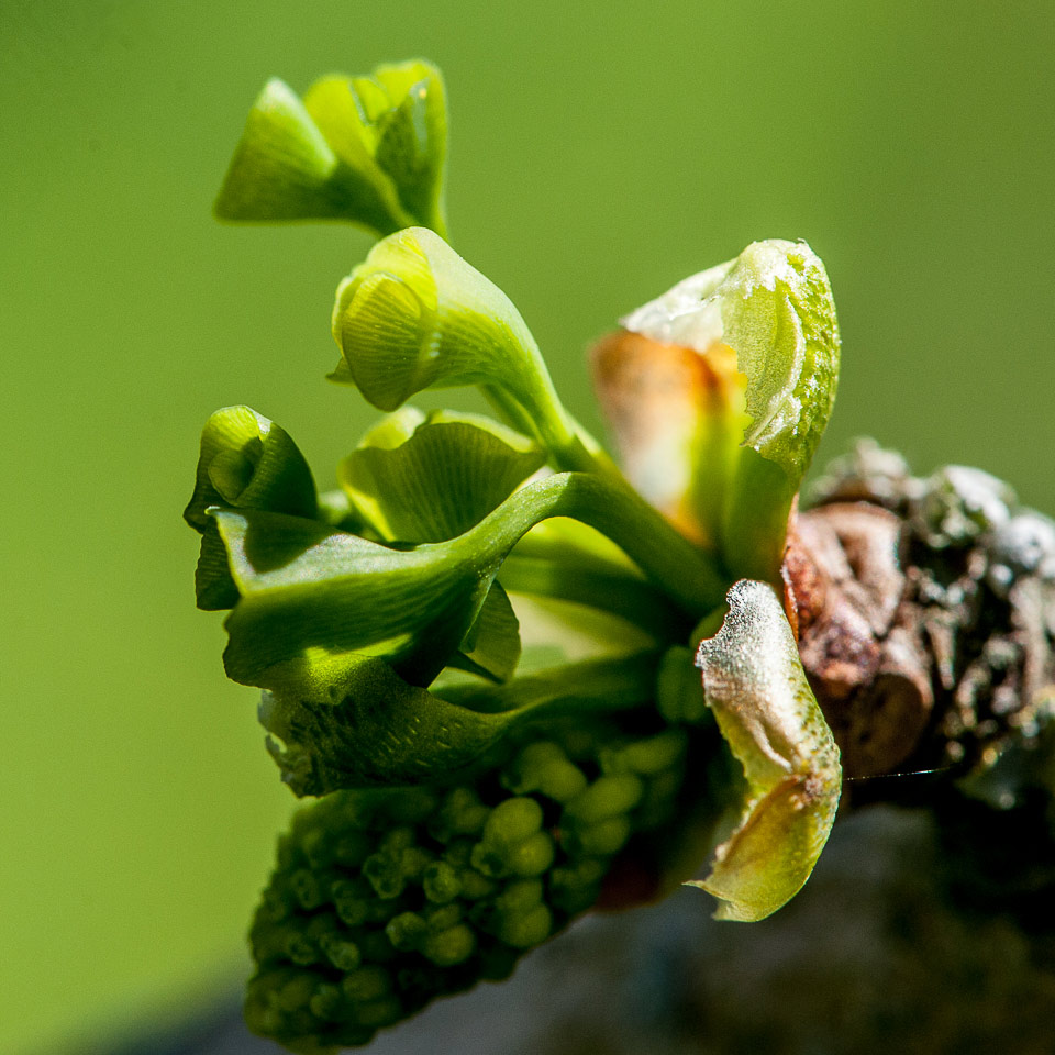 Aufbruch (Foto: Uli Pfeufer)