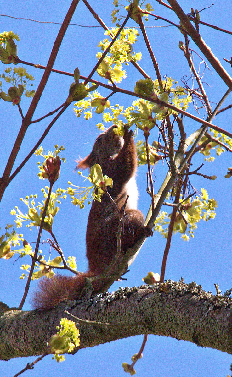 Frühstück (Foto: Karl-Heinz Richter)