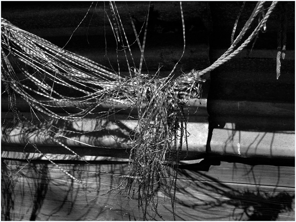 Verwirrung (Foto: Karl-Heinz Richter)