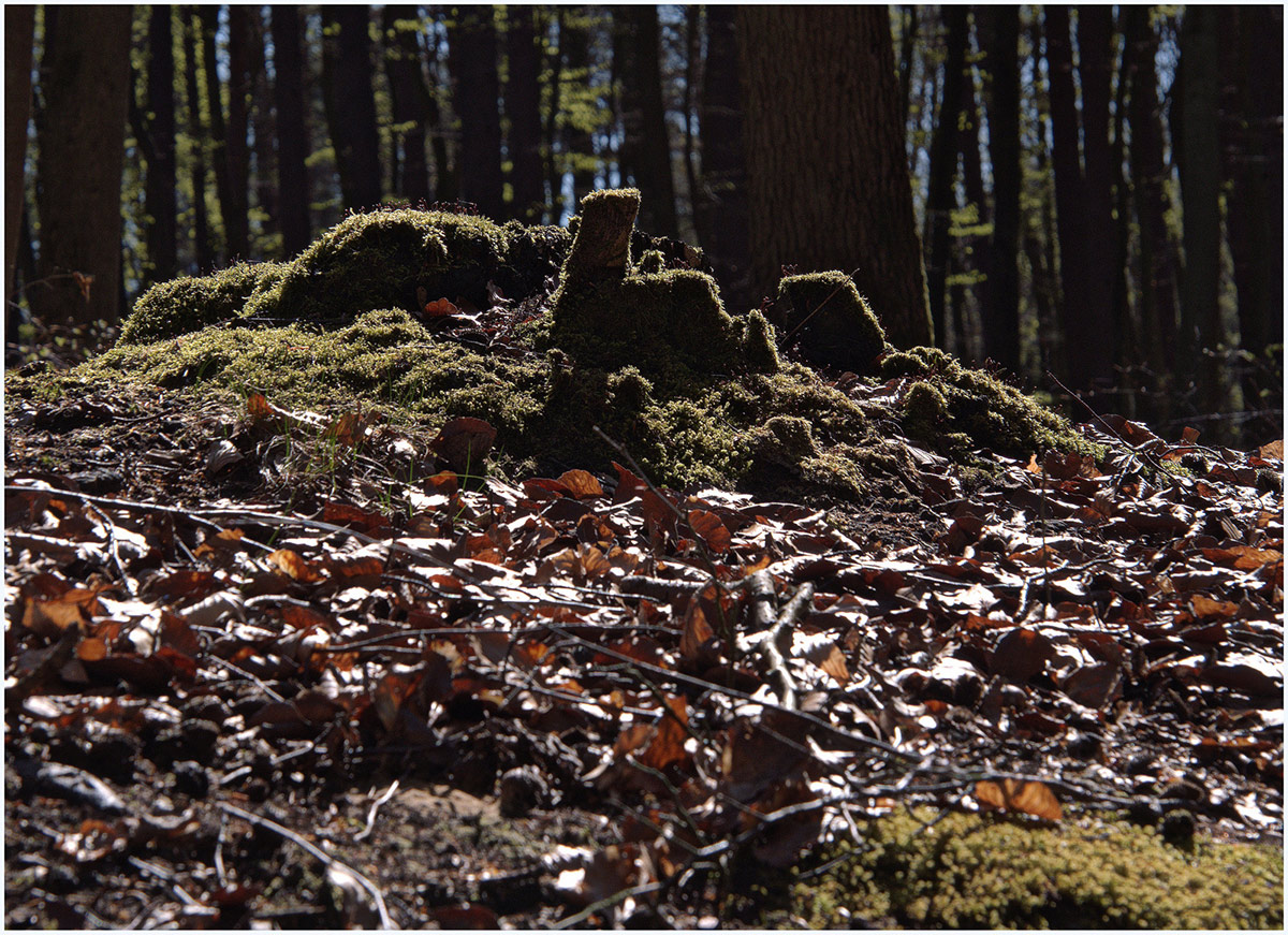 Fotoclubausstellung "Schau!" abbauen