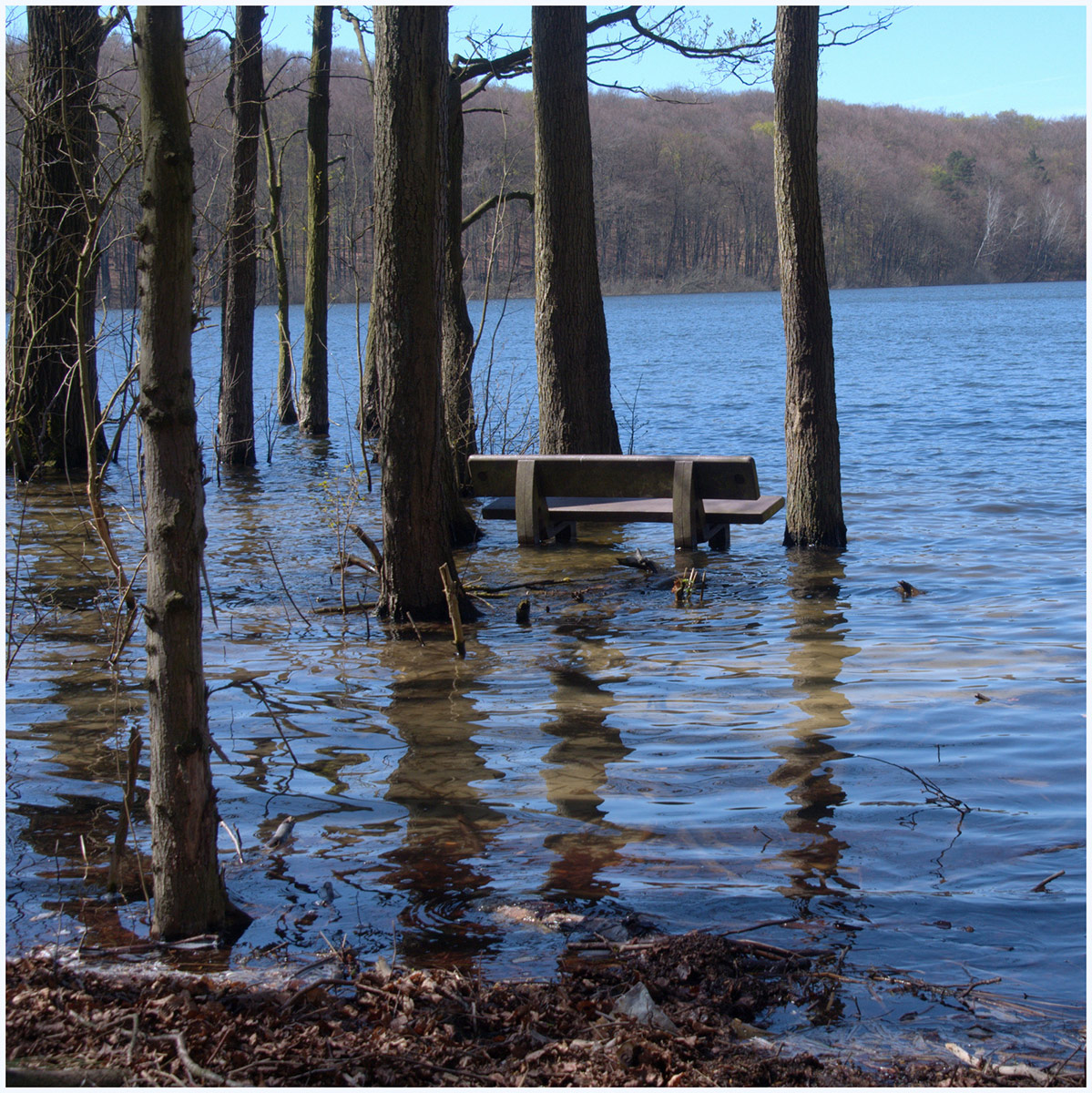 Wassergrundstück (Foto: Karl-Heinz Richter)