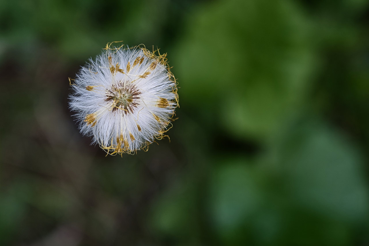 Fotoclub: Bild des Monats 3.2018