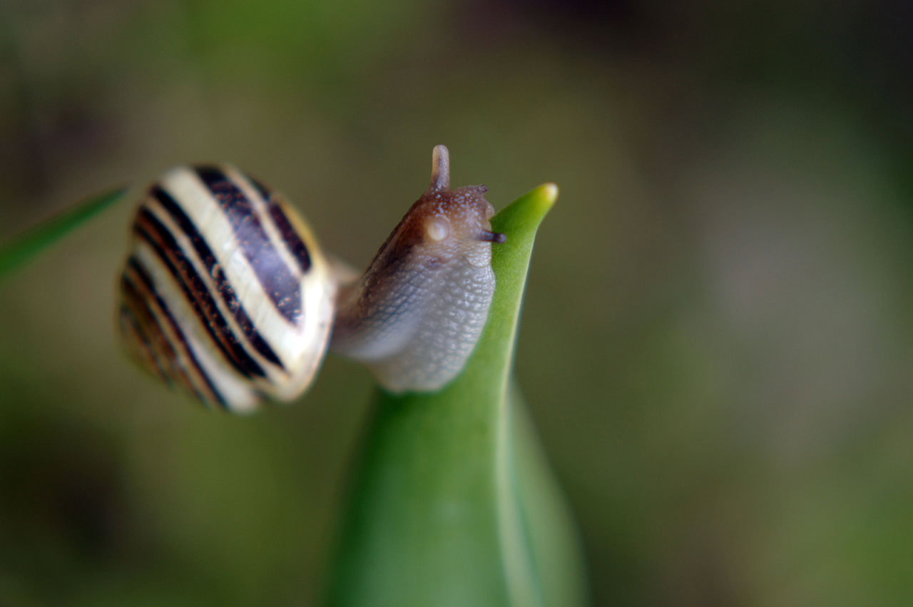 Fotoclub: Bild des Quartals 3.2025