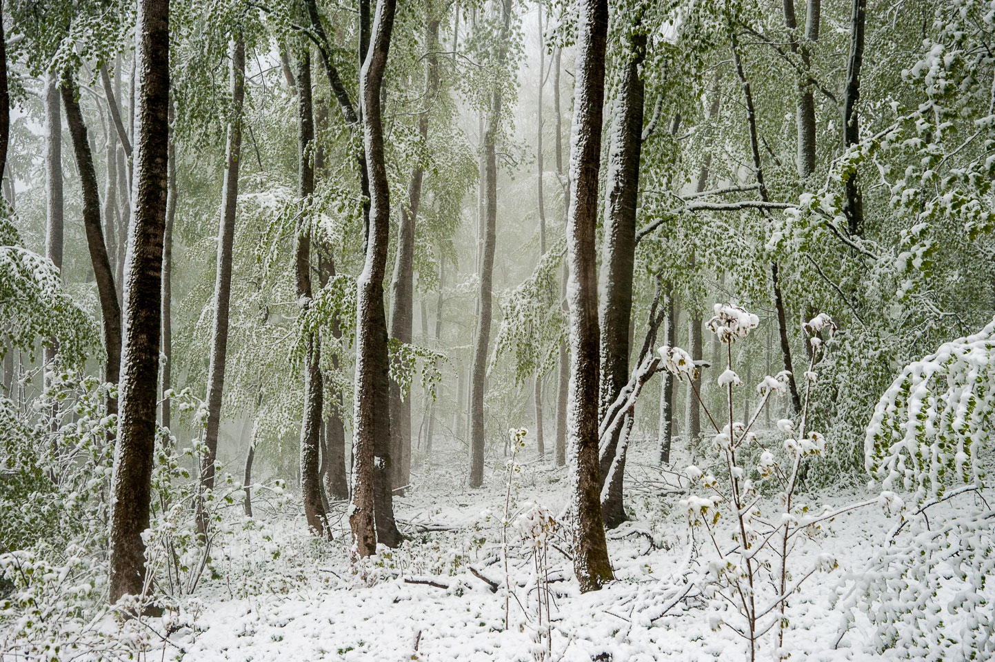 2019-06-16-letzter_schnee-upf-6 Letzter Schnee (Foto: Uli Pfeufer)