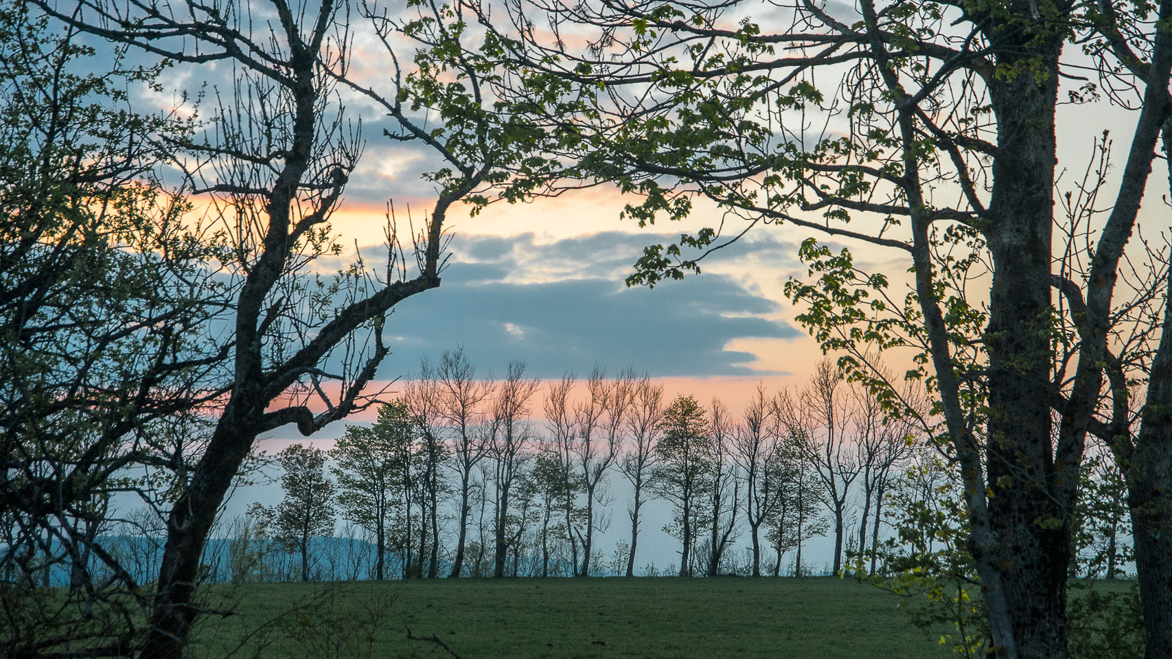 2019-06-19-rhoenabend-upf-5 Rhönabend (Foto: Uli Pfeufer)