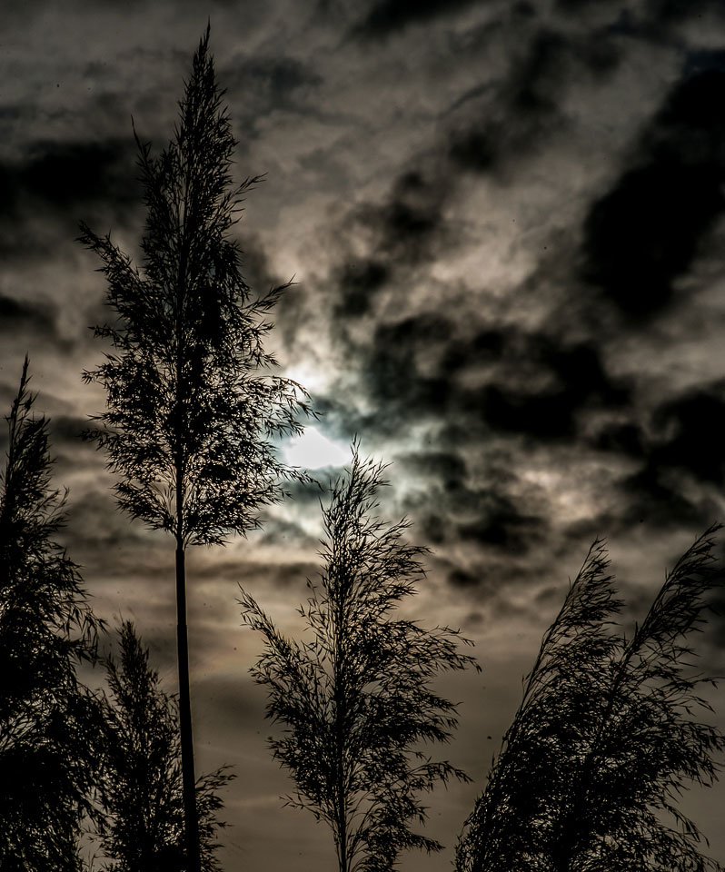 Fotoclub