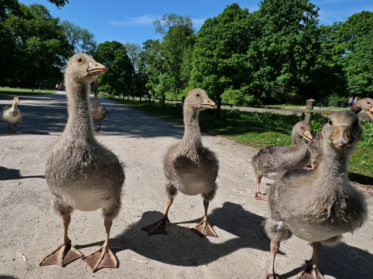 2019-10-29-was-machst-du-da-rok-6 Was machst du da? (Foto: Roland Kastner)