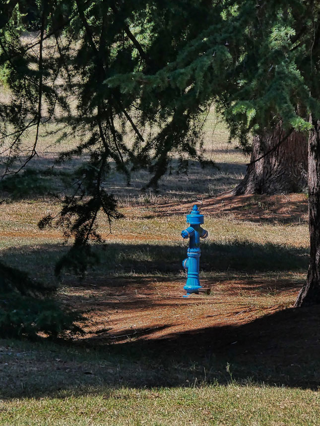 Ein Männlein... (Foto: Roland Kastner)