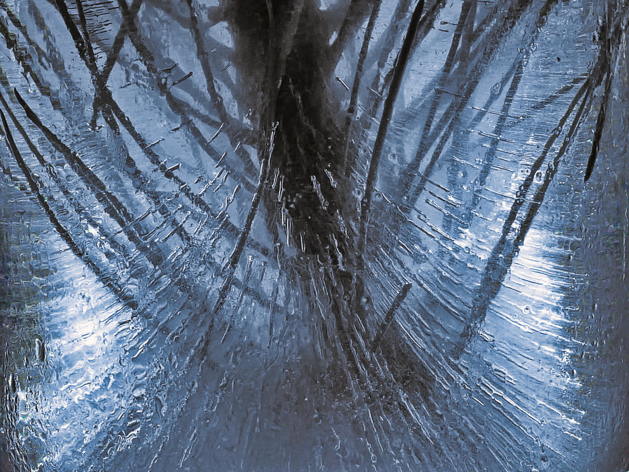 Fotoclub: Bild des Monats 12.2022