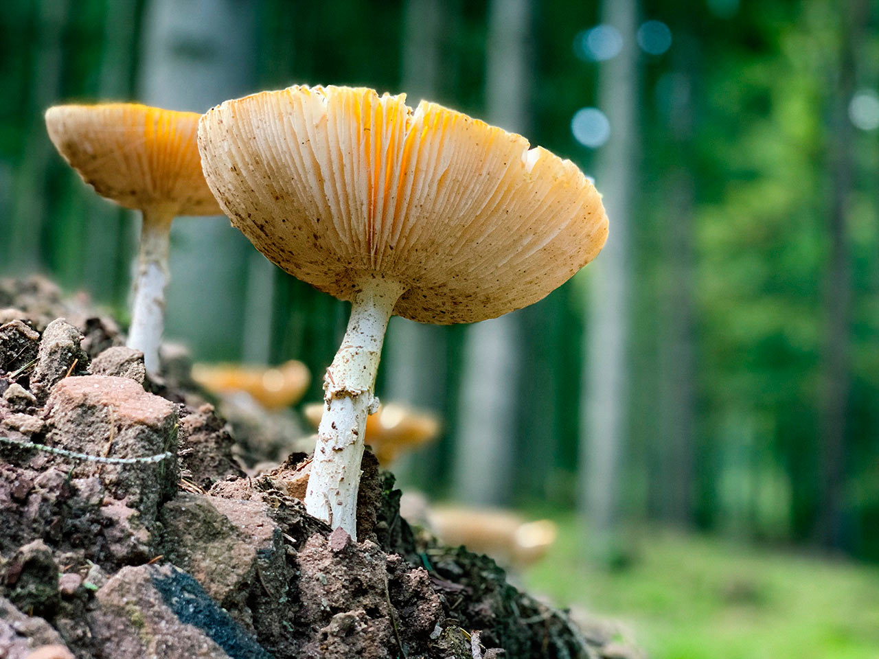 Fotoclub: Mappenbewertung
