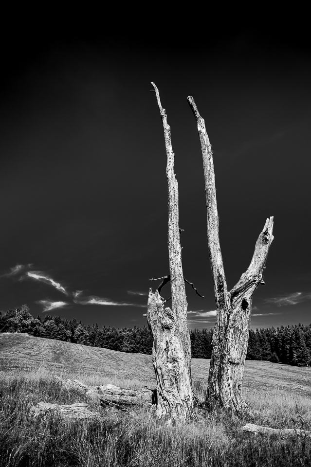 Fotoclub