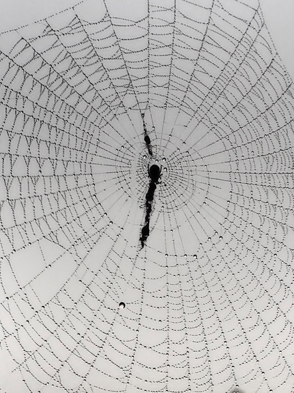 Warten (Foto: Dietmar Schmidt)