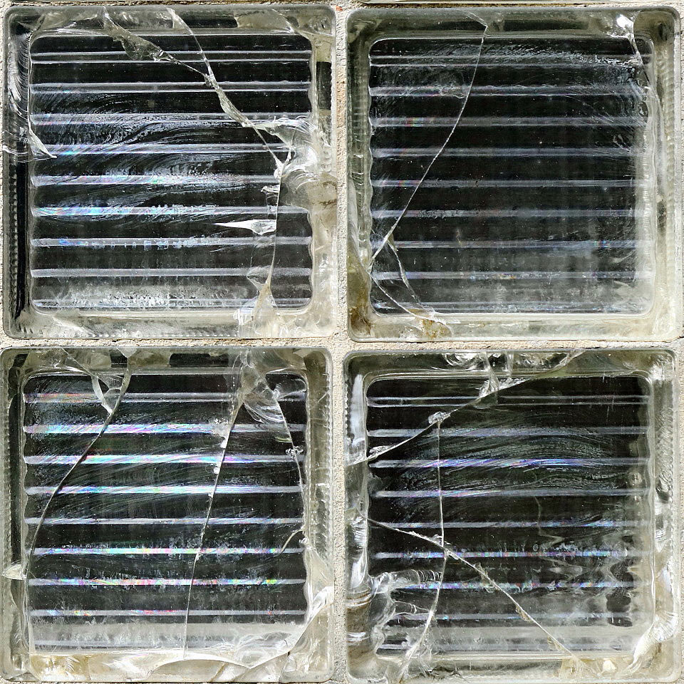 Garten-Fotoclub bei Uli