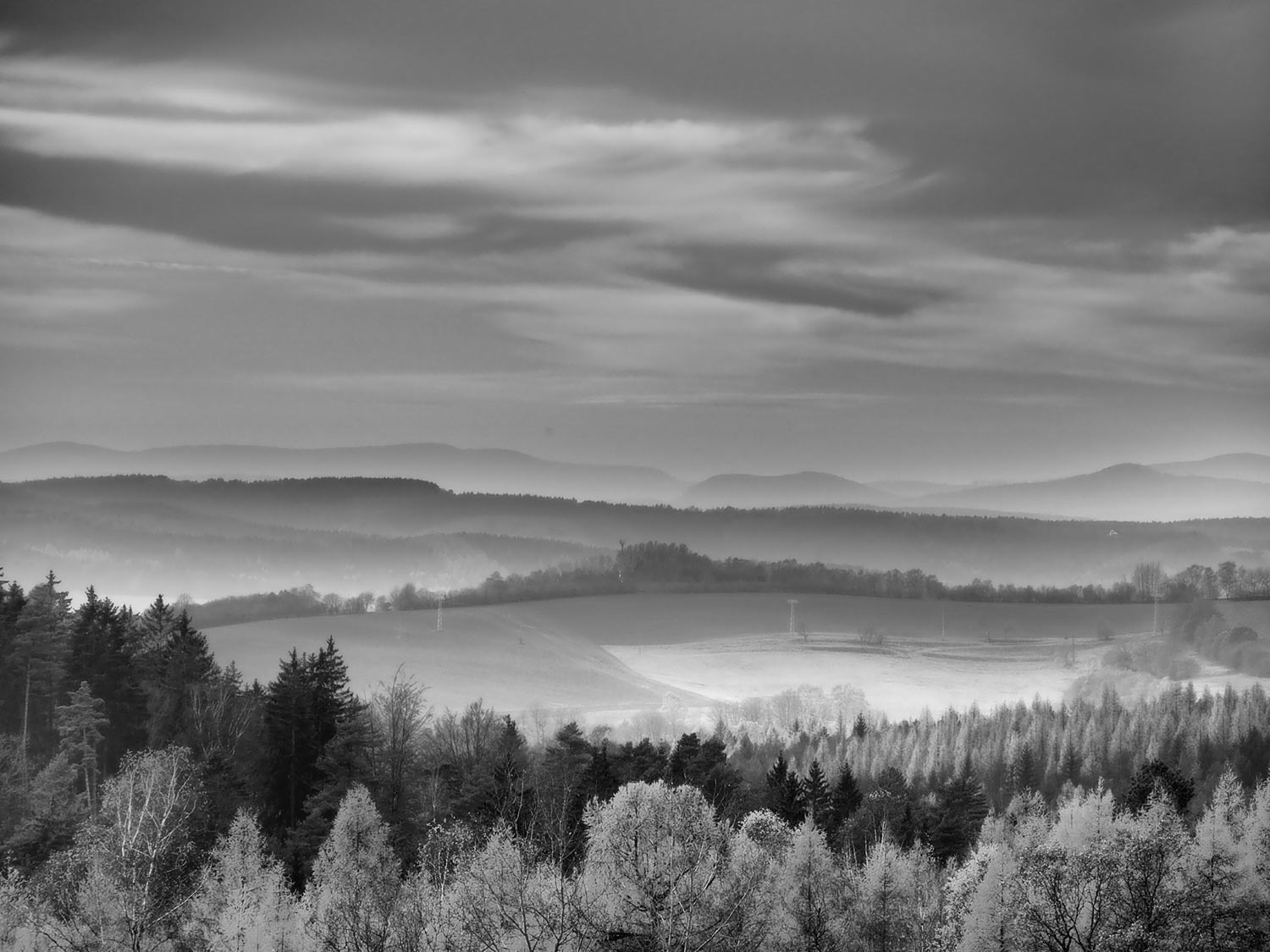 Fotoclub: Bild des Quartals 3.2025