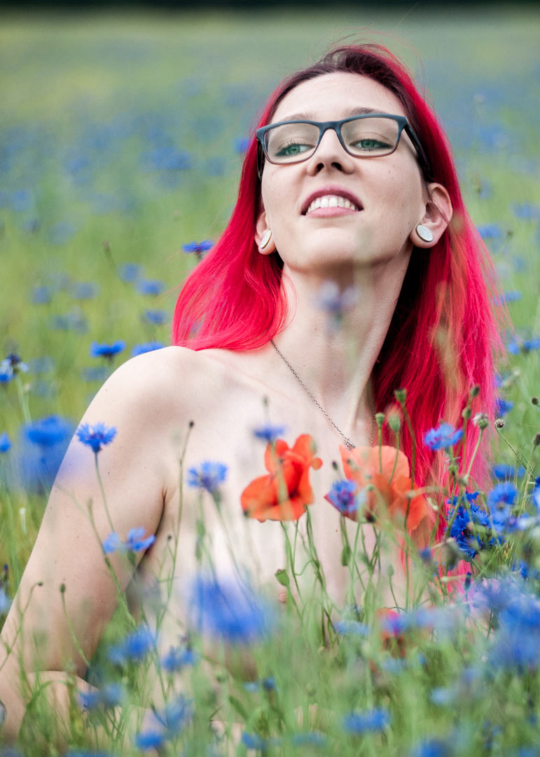 In Kornblumen (Foto: Uli Pfeufer)