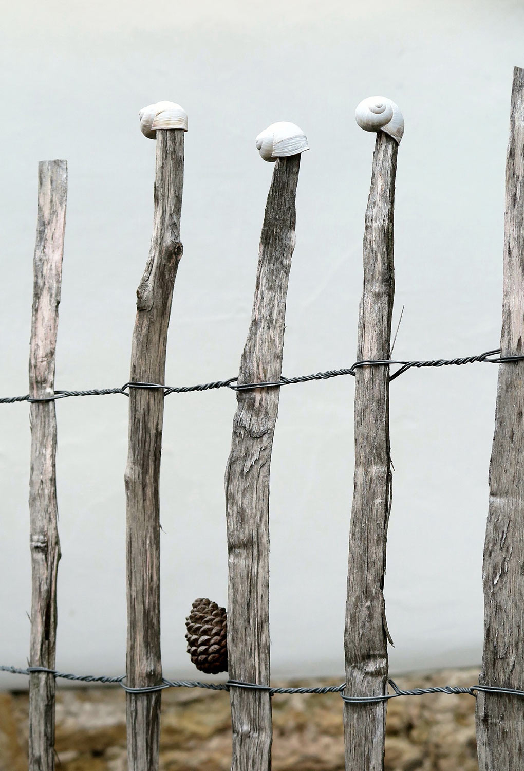 Kletterei (Foto: Peter Maximilian Schmidt)