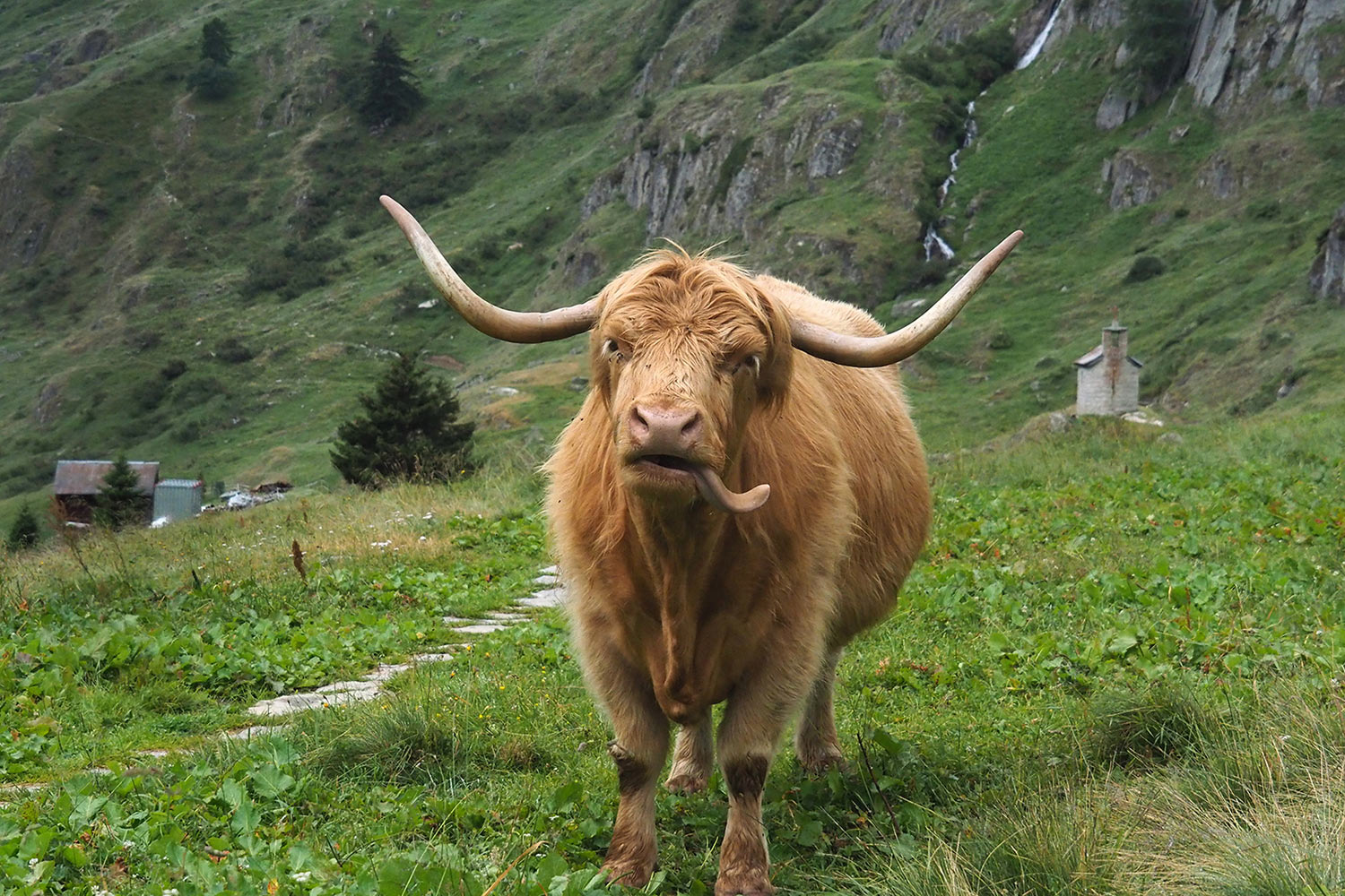Leck mich (Foto: Andreas Kuhrt)