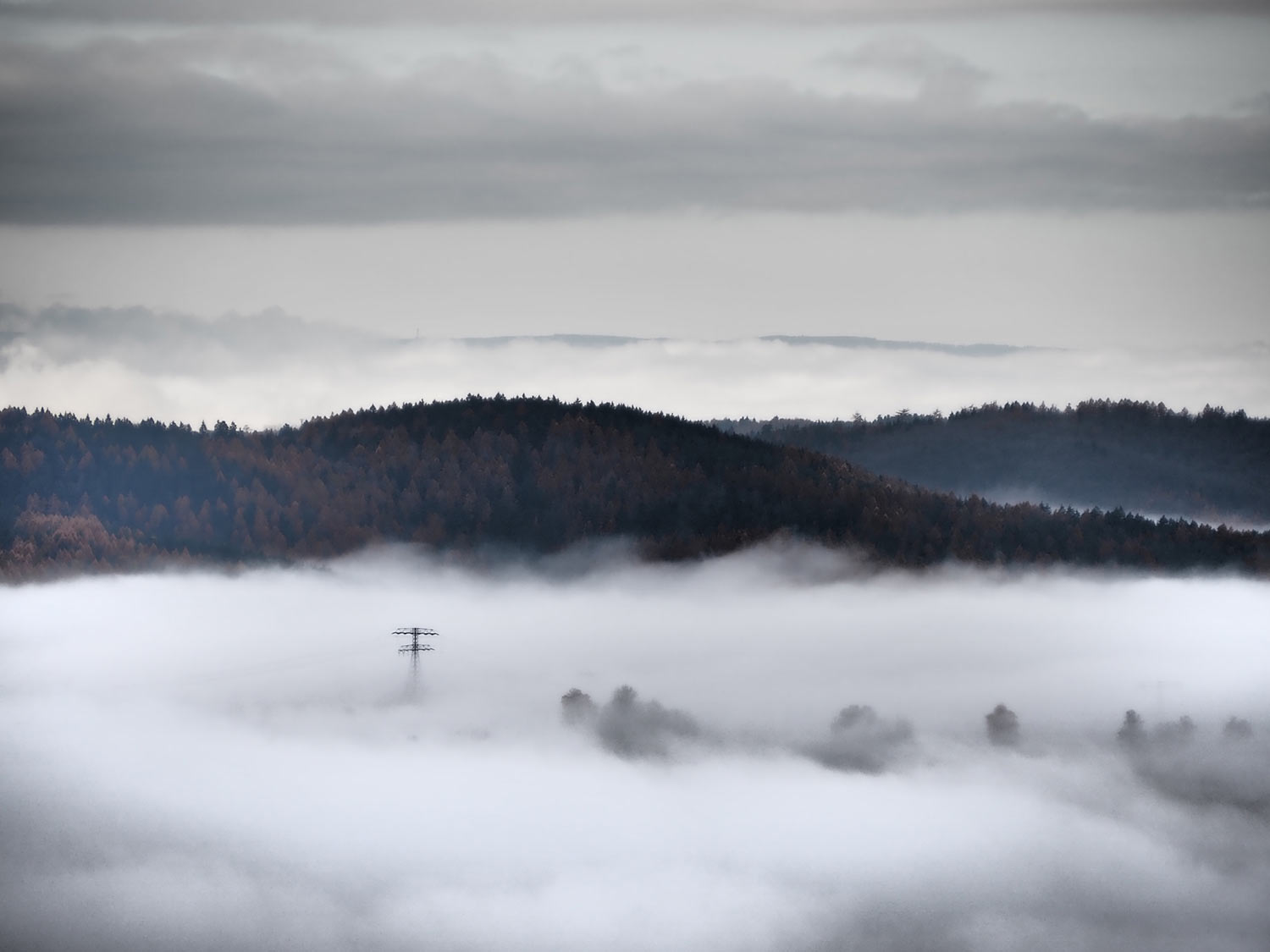 Morgennebel (Foto: Dietmar Schmidt)