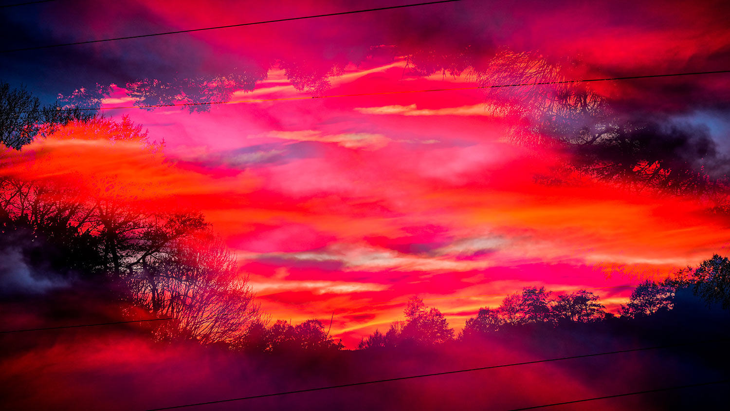 Rottraum (Foto: Uli Pfeufer)