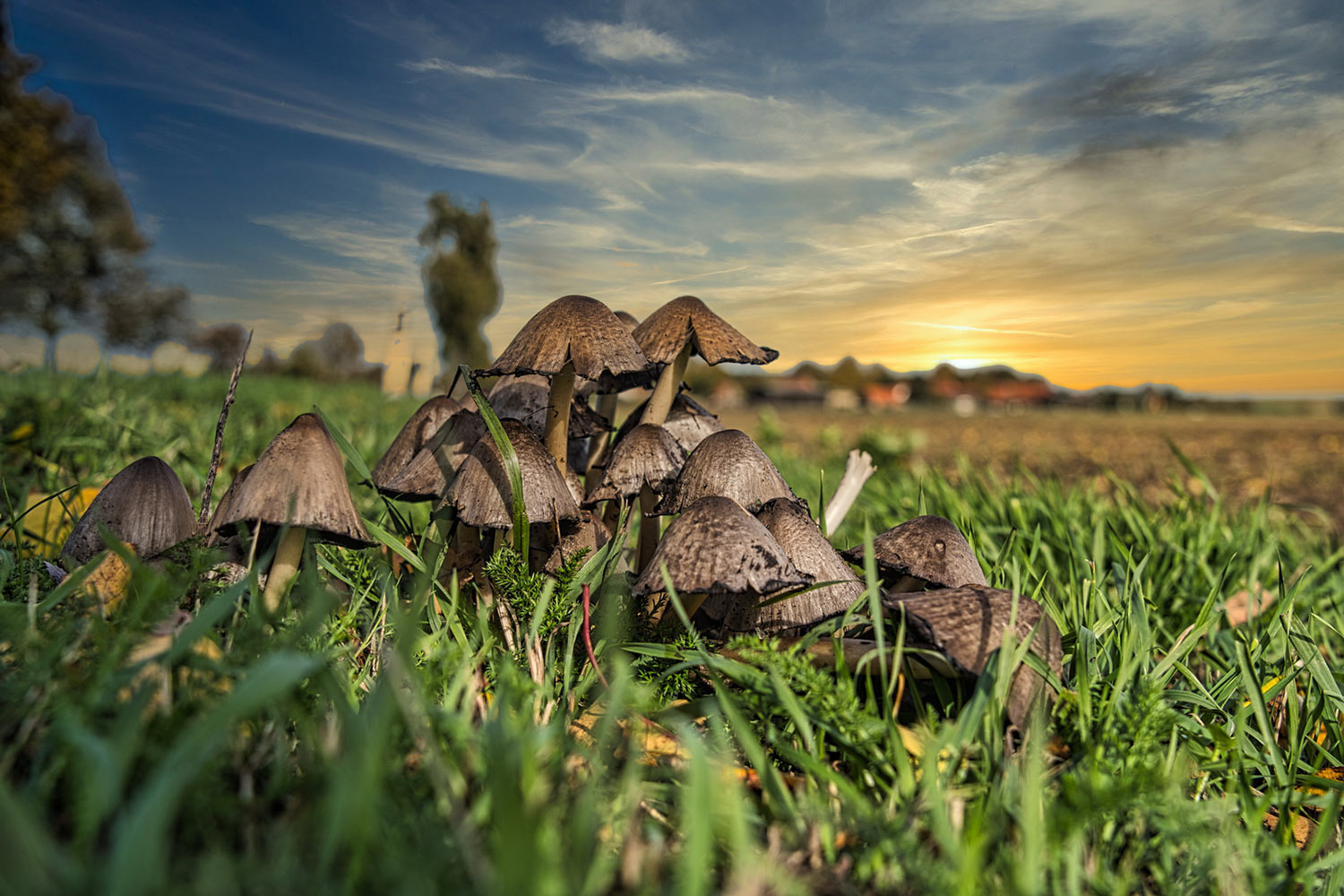 Sonnenuntergang (Foto: Roland Kastner)