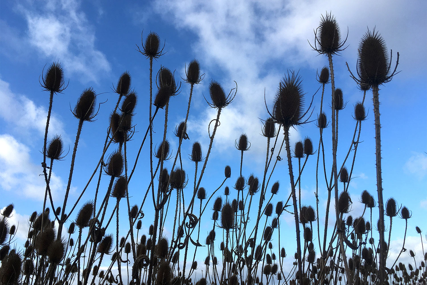 Fotoclub: Bild des Quartals 3.2025