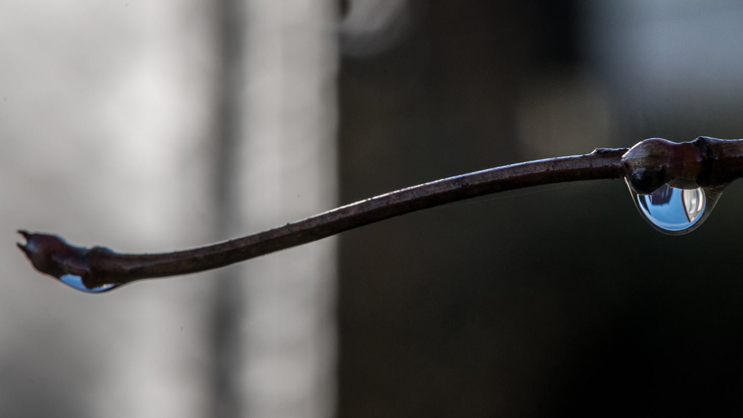 Tropfen in Blau (Foto: Uli Pfeufer)