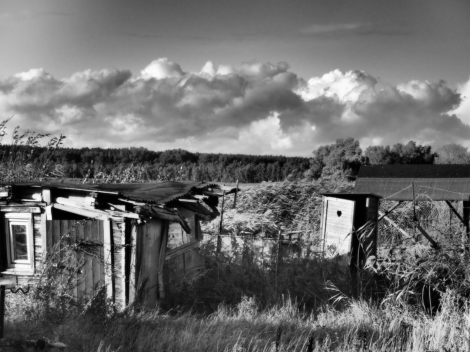 Versteckt (Foto: Dietmar Schmidt)