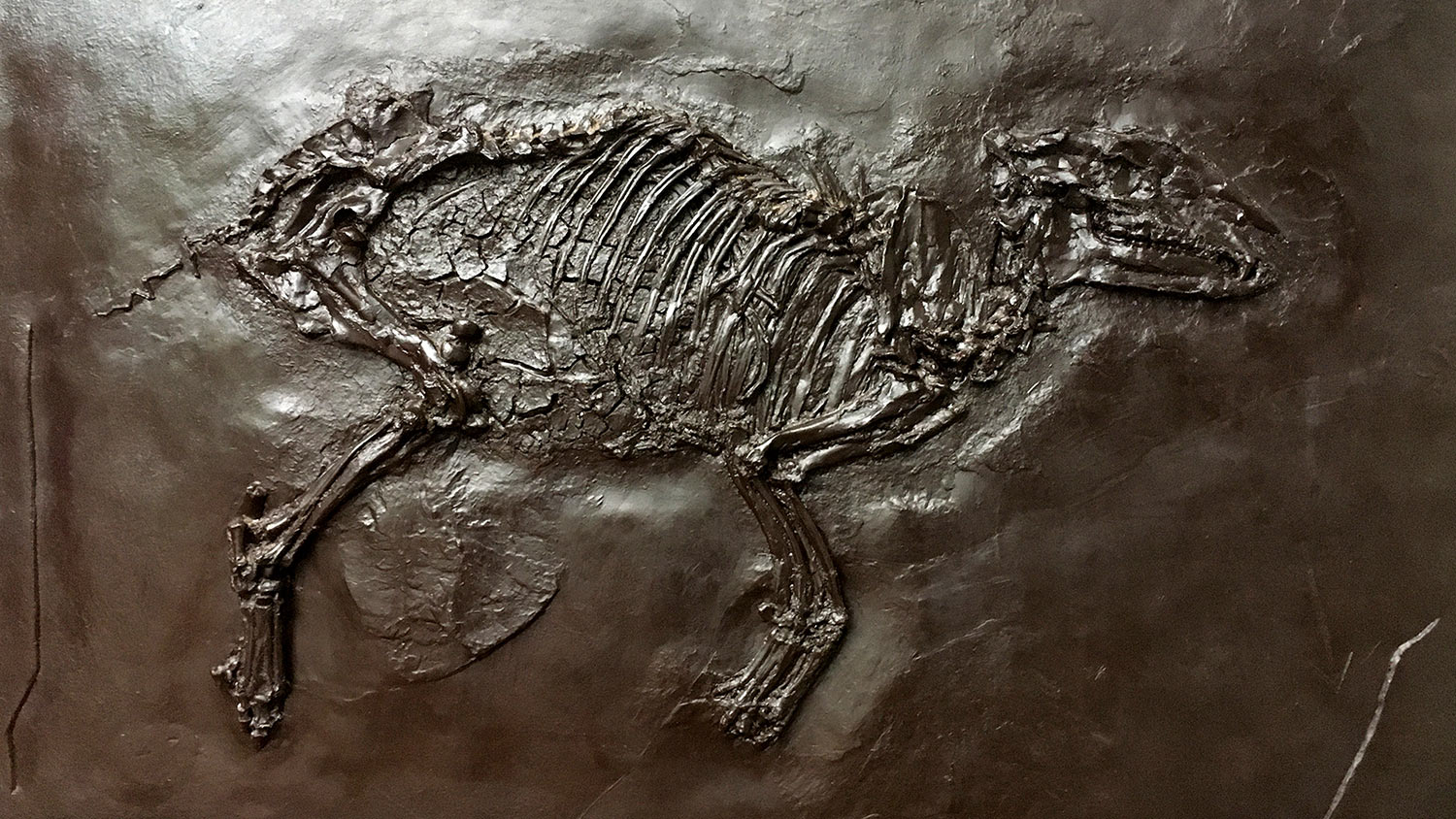 Serie: Messelwelten 2 (Foto: Andreas Kuhrt)