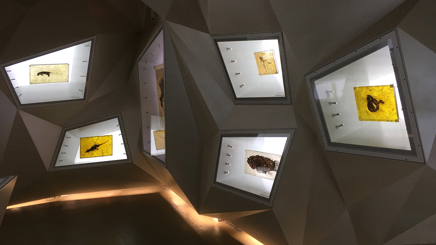 Serie: Messelwelten 4 (Foto: Andreas Kuhrt)