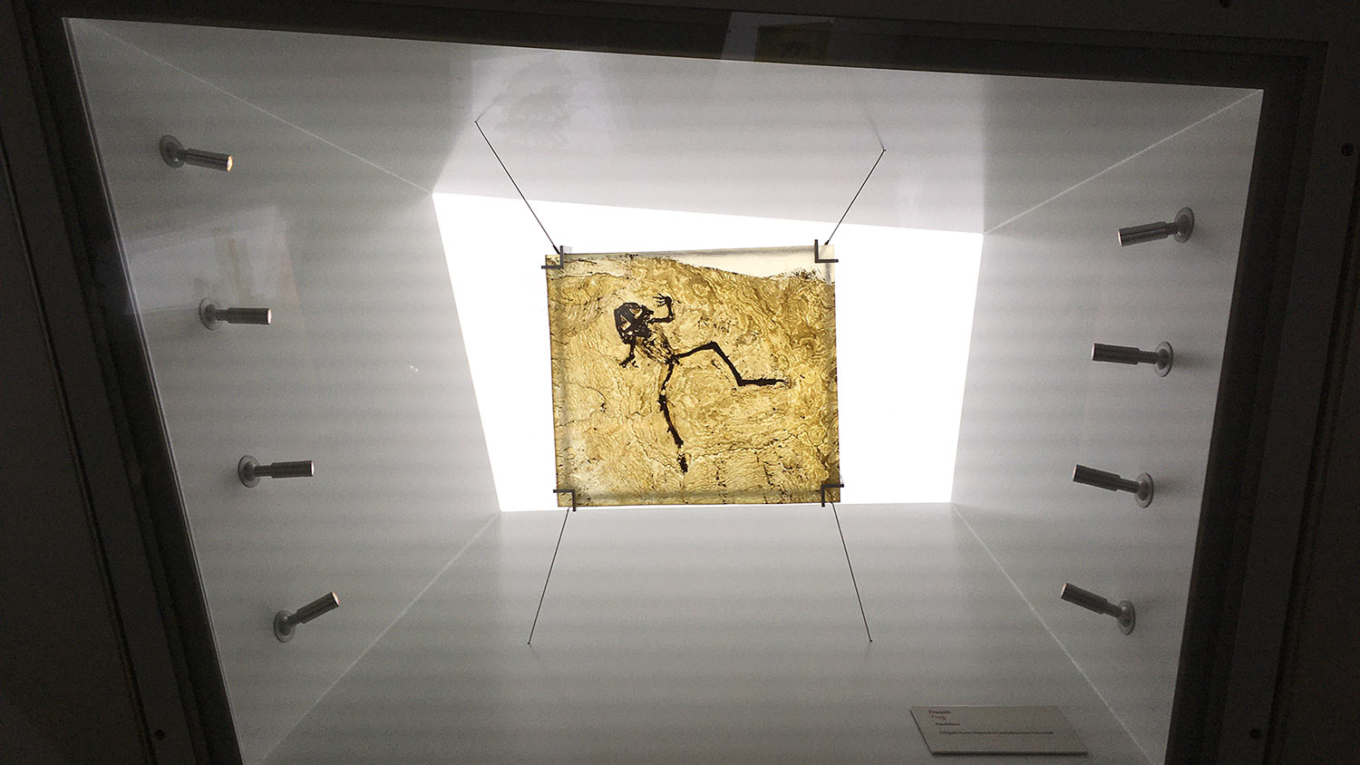 Serie: Messelwelten 5 (Foto: Andreas Kuhrt)