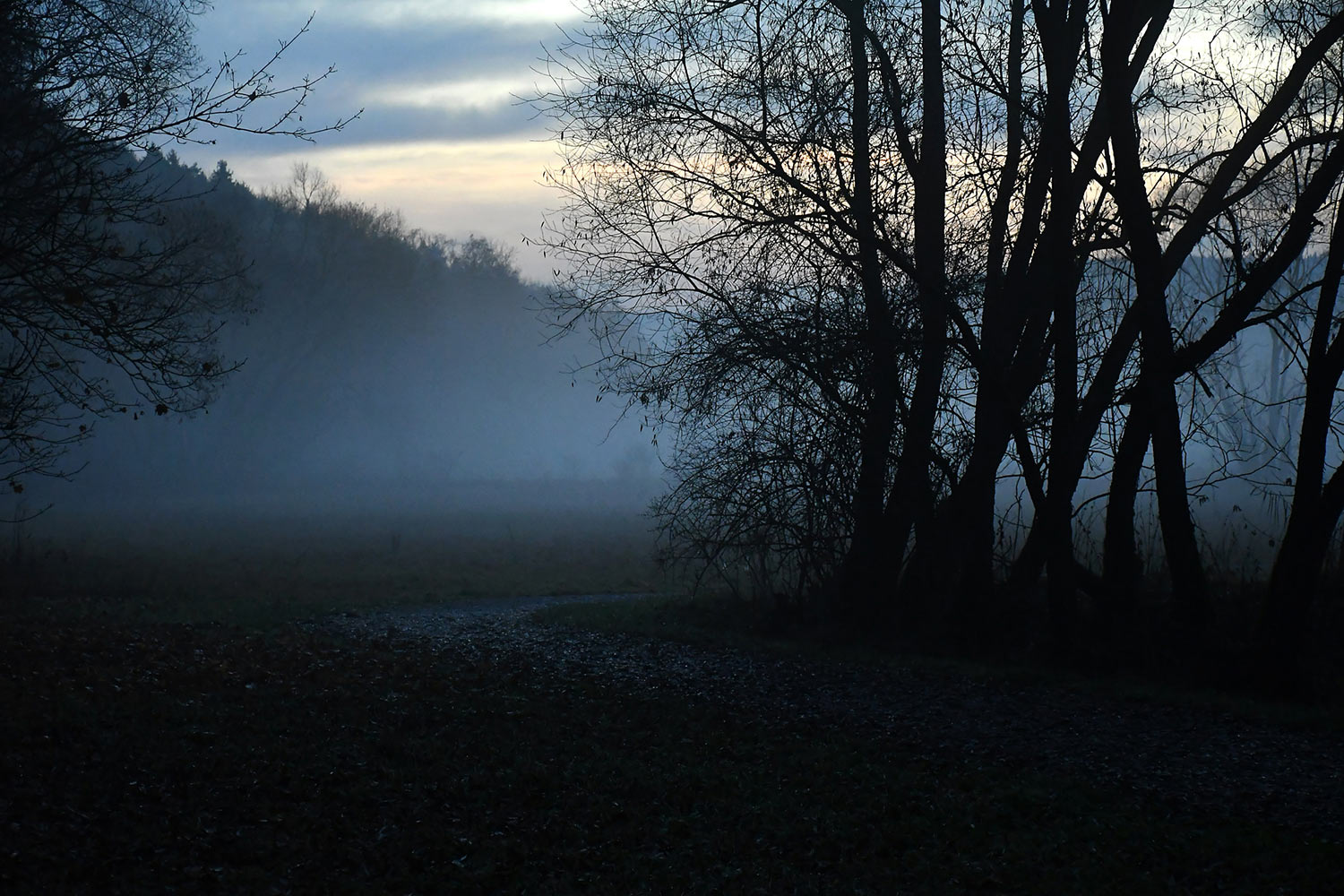 Fotoclub: Bild des Quartals 3.2025