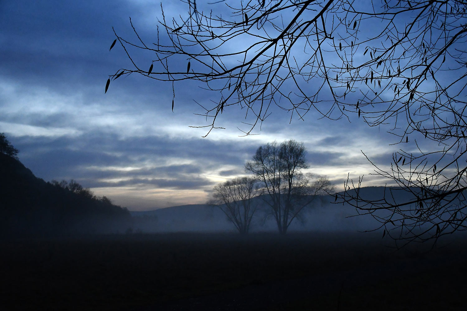 2019-12-zz05-2-Im-Nebel-gg-6 Serie: Im Nebel 2 (Foto: Günter Giese)