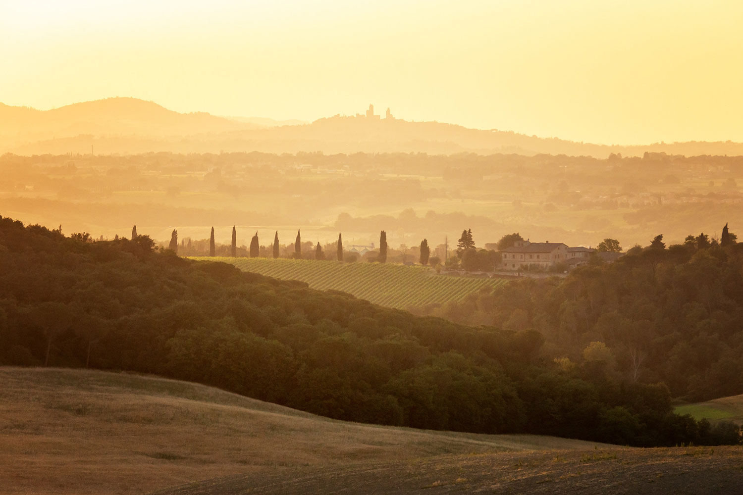 2019-20-Mappe-FC-Reflexion-90-Erfurt-03-San-Gimignano-Blick-Joachim-Lehmann San Gimignano Blick (Foto: Joachim Lehmann) . Mappenwettbewerb 2019/20 Fotoclub Reflexion 90 Erfurt