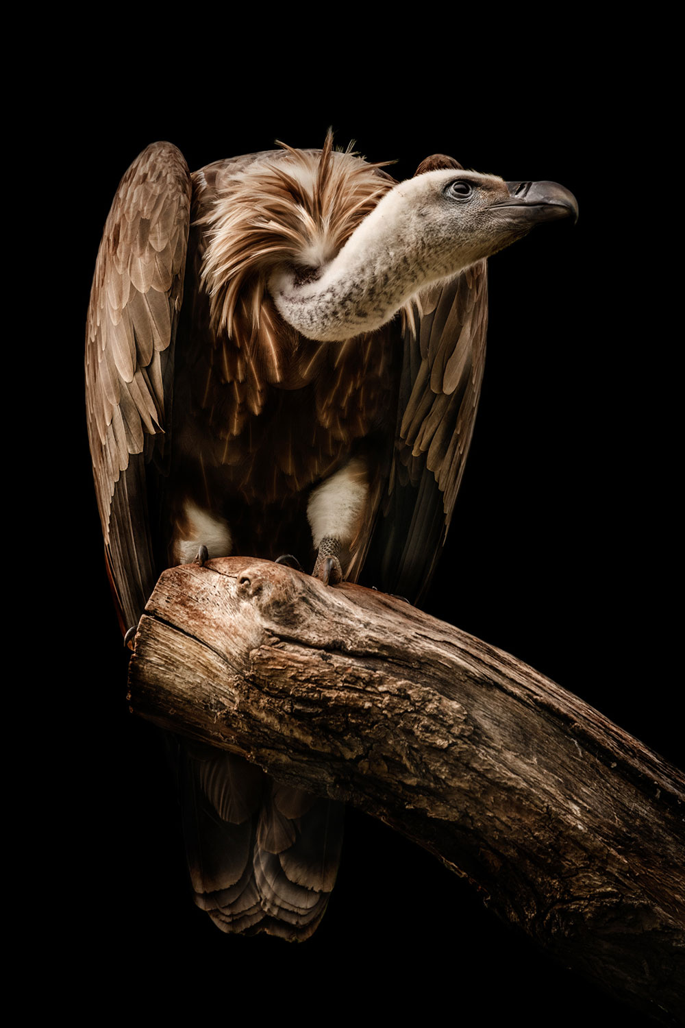 2019-20-Mappe-FC-Reflexion-90-Erfurt-09-Lauer-Juergen-Mueller Lauer (Foto: Jürgen Müller) . Mappenwettbewerb 2019/20 Fotoclub Reflexion 90 Erfurt