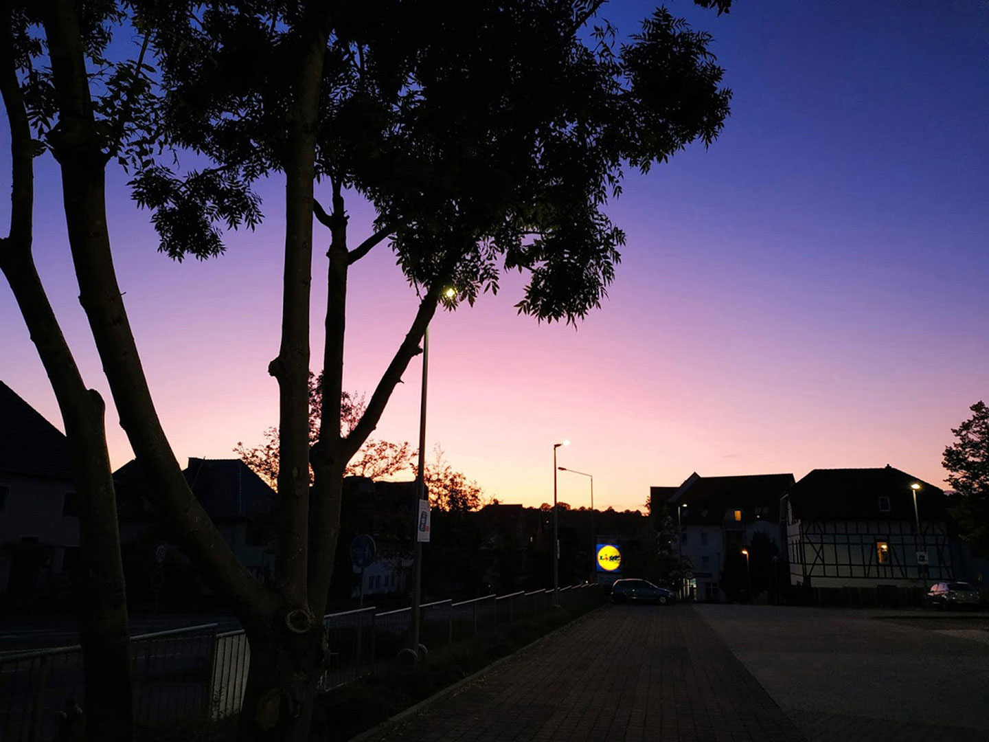 2019-Bild-des-Jahres-02-Abendlicht-cf-2.33 Abendlicht (Foto: Carolin Fritz)