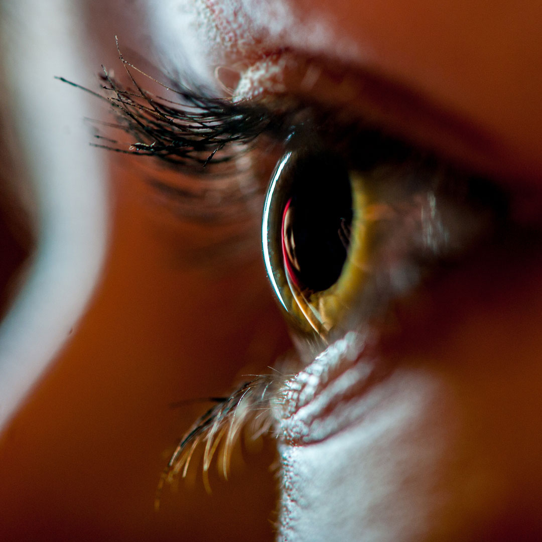 2019-Bild-des-Jahres-12-Blickportrait-upf-8.33-1 Blickportrait (Foto: Uli Pfeufer)