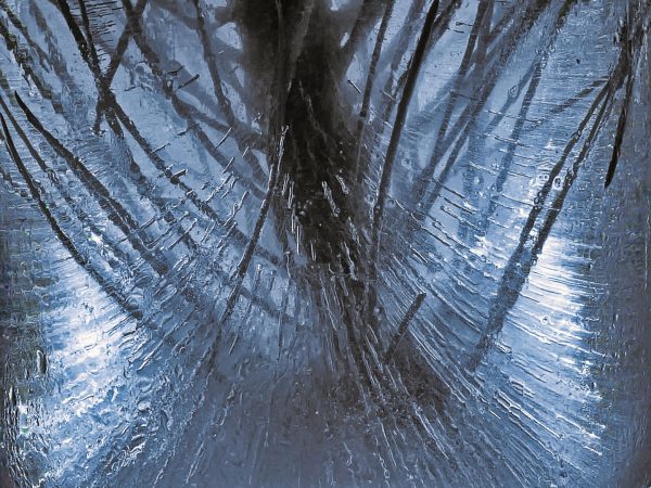 Eis (Foto: Roland Kastner)