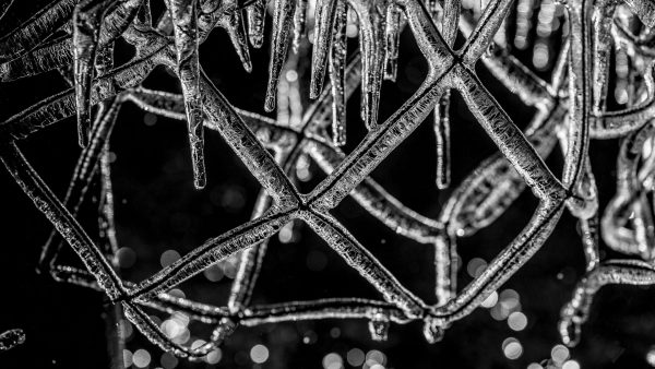 Eisnetz (Foto: Uli Pfeufer)