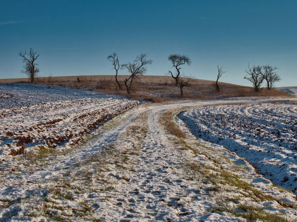 Feldweg (Foto: Roland Kastner)