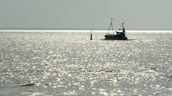 Heimkehr (Foto: Dietmar Schmidt)